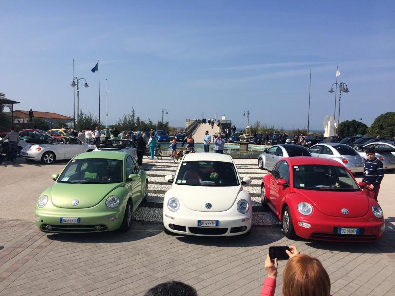 31 raduno nazionale Beetleclub