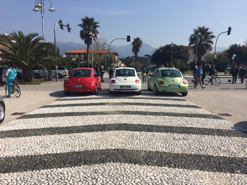 31 raduno nazionale Beetleclub