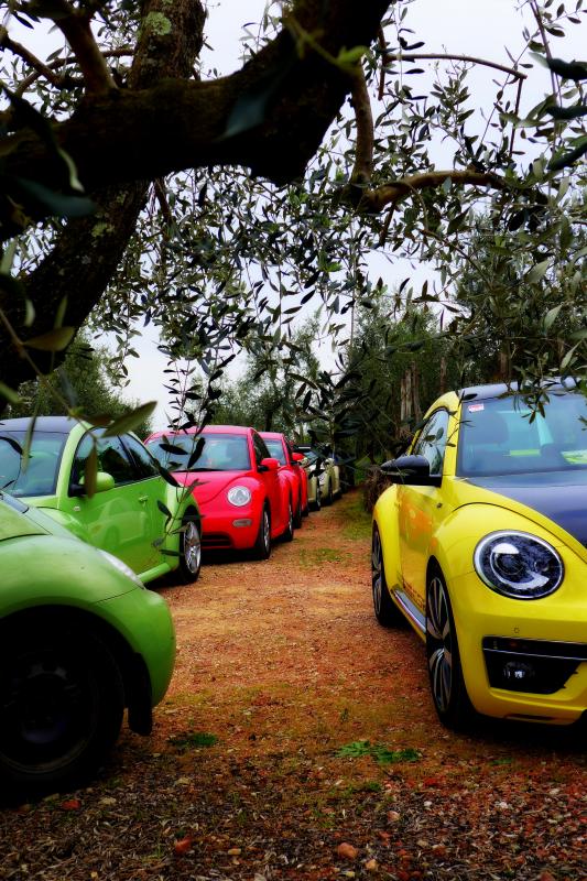 37? raduno  Toscana Primavera 2017