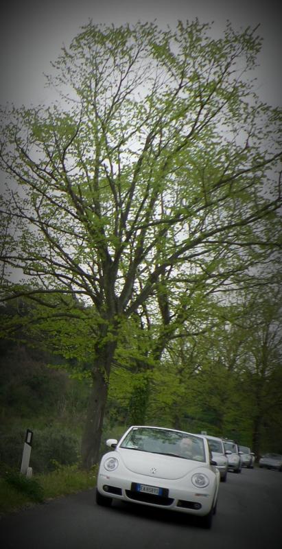 37? raduno  Toscana Primavera 2017