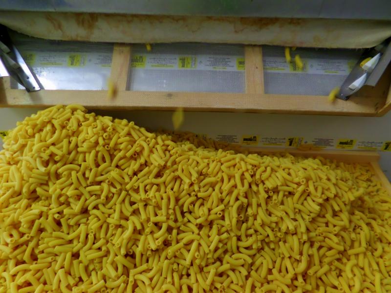 37? raduno  Toscana Primavera 2017