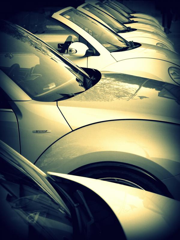 37? raduno  Toscana Primavera 2017