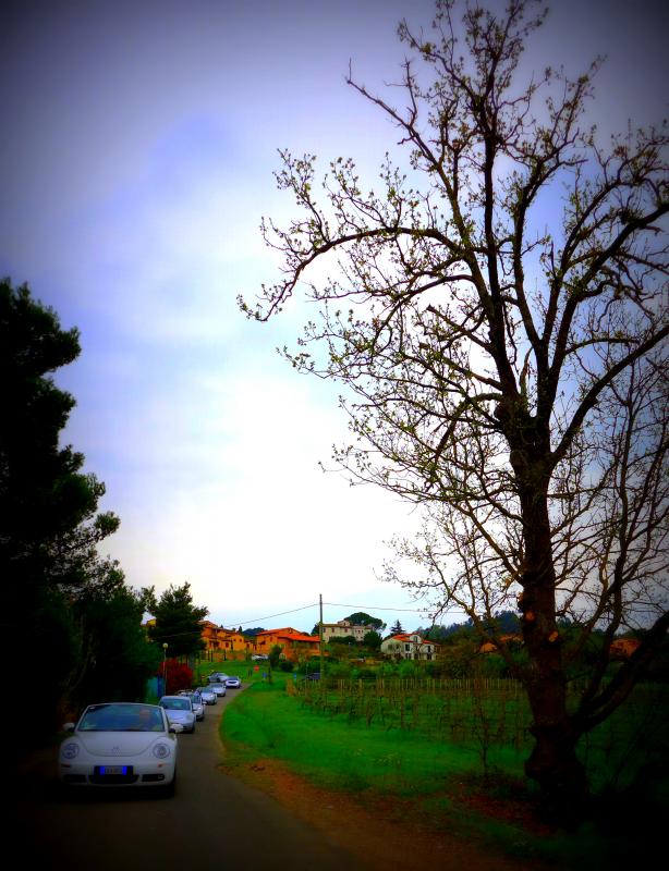 37? raduno  Toscana Primavera 2017