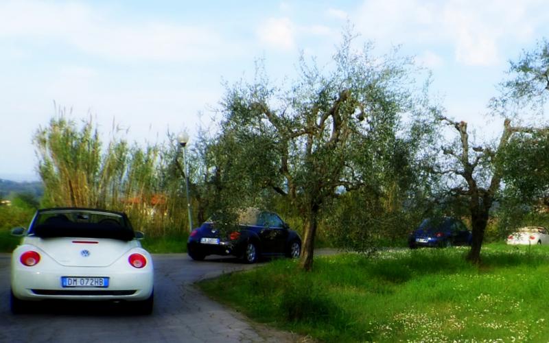 37? raduno  Toscana Primavera 2017