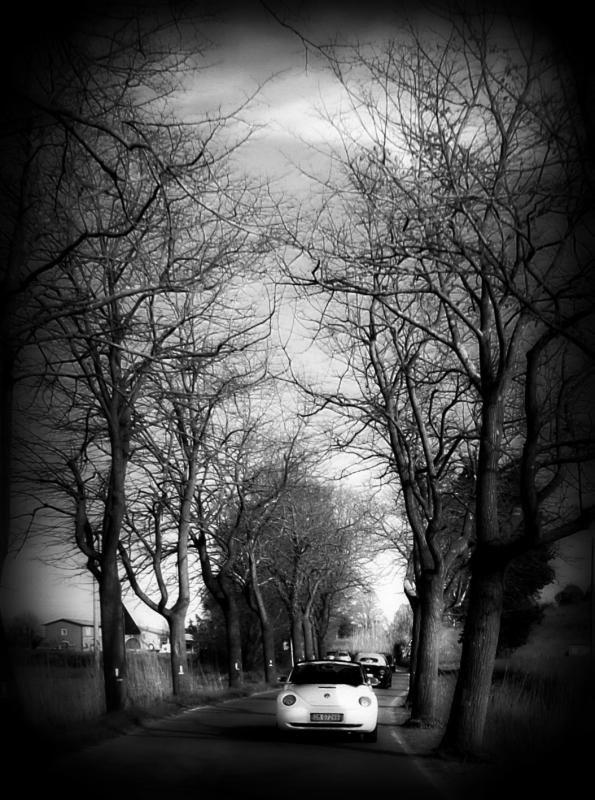 37? raduno  Toscana Primavera 2017