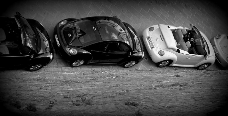 37? raduno  Toscana Primavera 2017