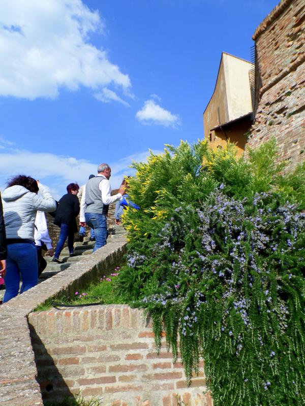 37? raduno  Toscana Primavera 2017