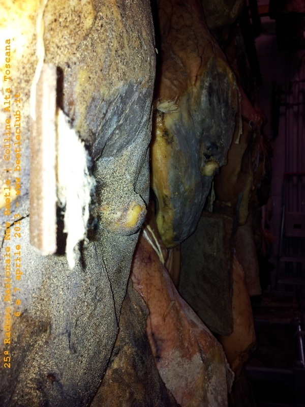 6 e 7 aprile - Raduno di Primavera 2013