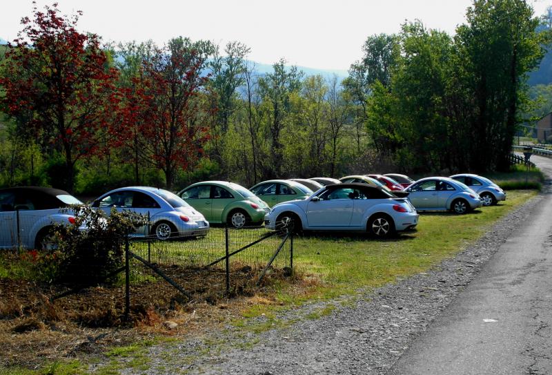 ADESIVI, LOGO ED ALTRO