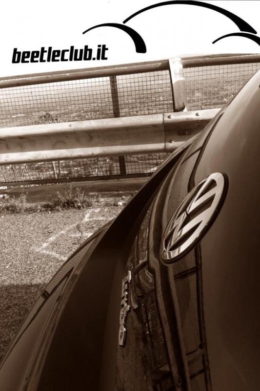 ADESIVI, LOGO ED ALTRO