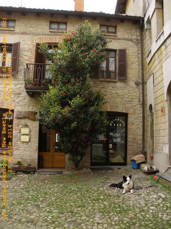 Appennini Bolognesi