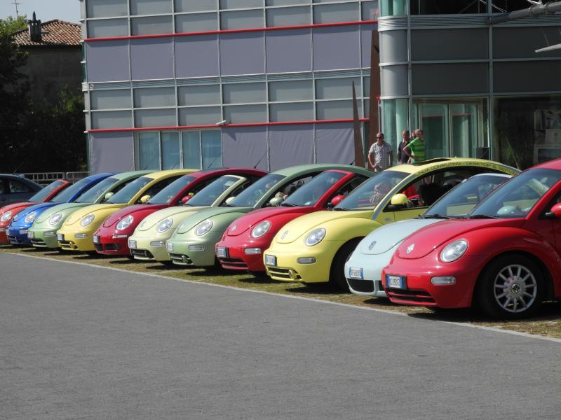 Assemblea Ordinaria Soci Cavaion Veronese, gennaio 2013