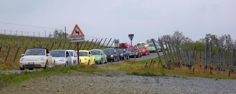 Avvistamenti Beetle Casuali