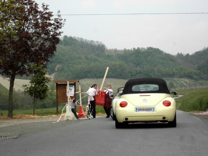 Avvistamenti Beetle Casuali