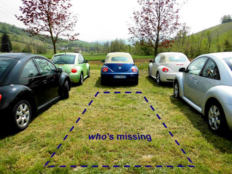 Avvistamenti Beetle Casuali