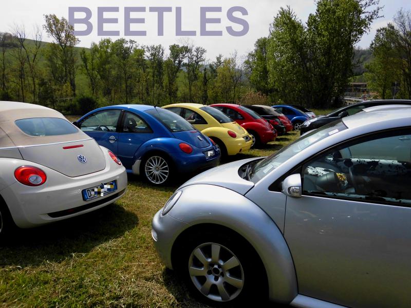 Avvistamenti Beetle Casuali