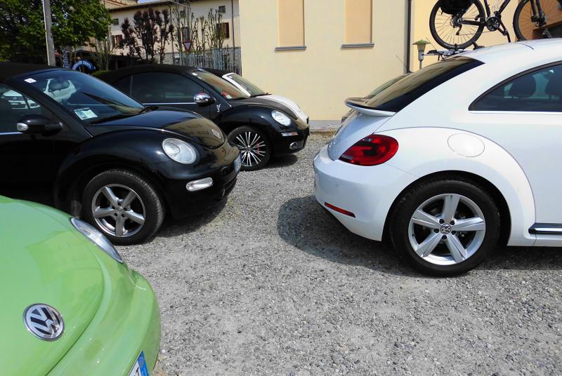 Avvistamenti Beetle Casuali