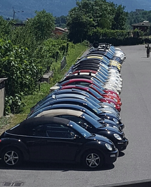 Baciate dal sole 😂