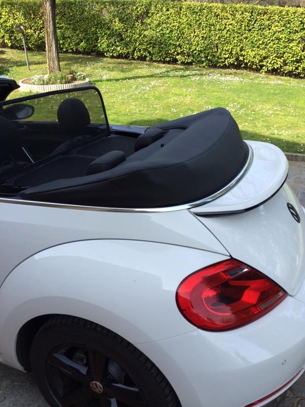 beetle cabrio
