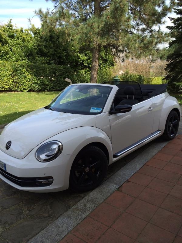beetle cabrio