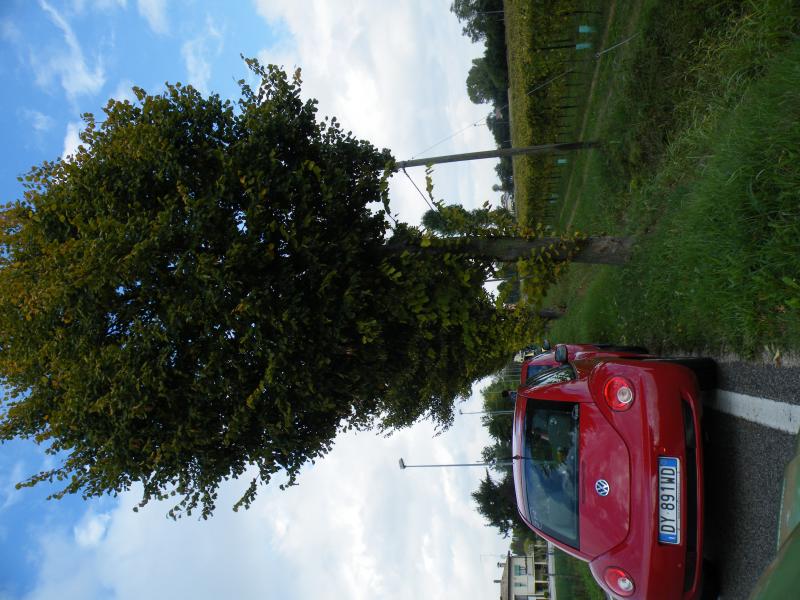 Colli euganei 2015 Raduno d'Autunno