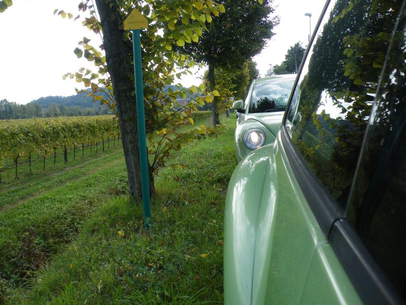 Colli euganei 2015 Raduno d'Autunno