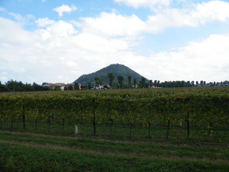 Colli euganei 2015 Raduno d'Autunno