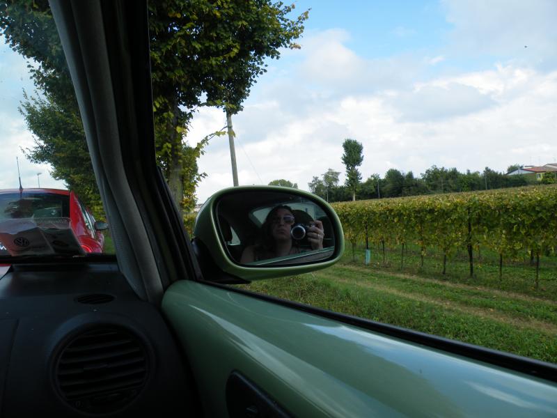 Colli euganei 2015 Raduno d'Autunno