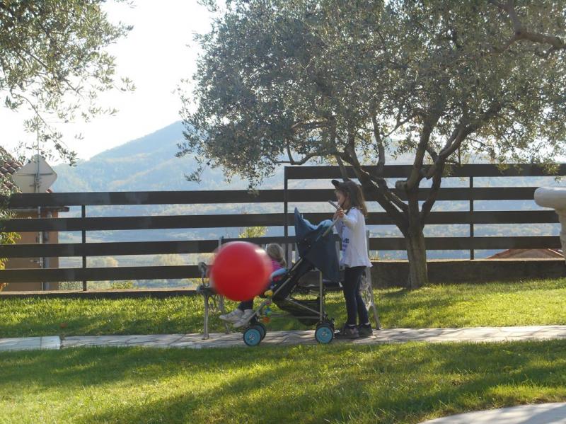 Colli euganei 2015 Raduno d'Autunno