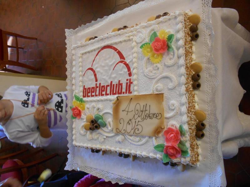 Colli euganei 2015 Raduno d'Autunno