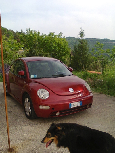 come ? adesso, aprile 2013