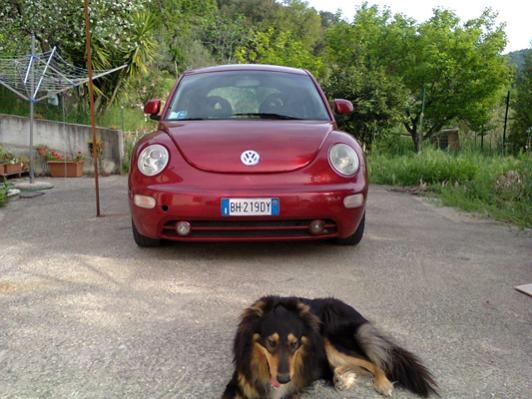 come ? adesso, aprile 2013