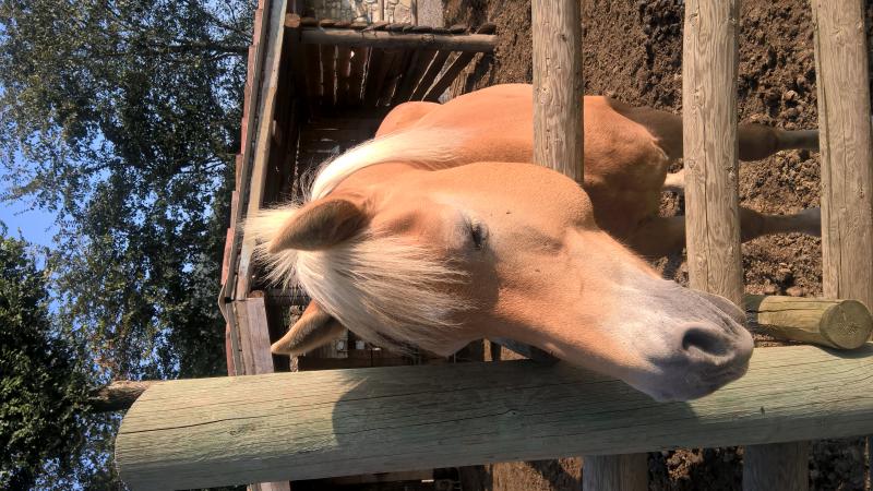 Franciacorta Settembre 2016