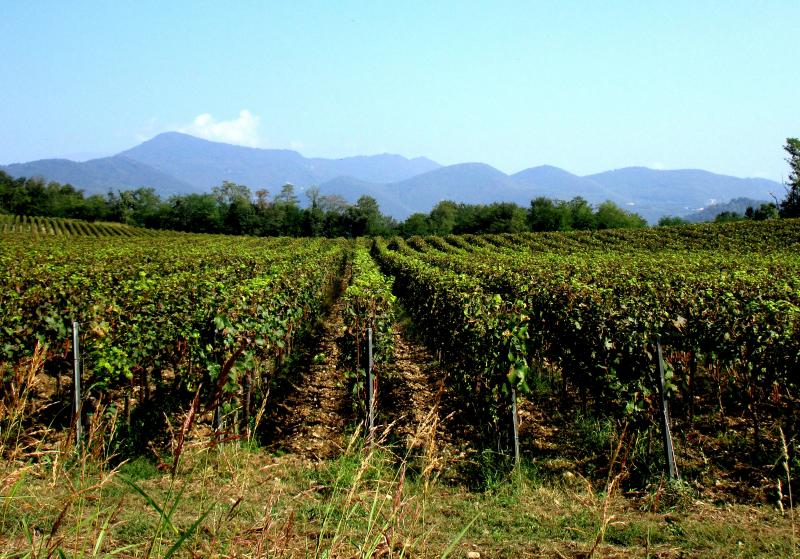 Franciacorta !!!!!!!!!!!!