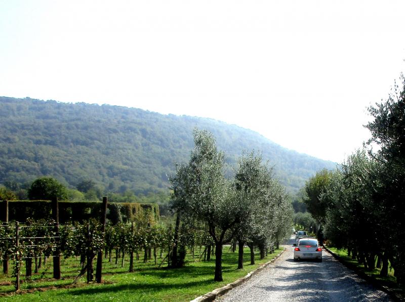 Franciacorta !!!!!!!!!!!!