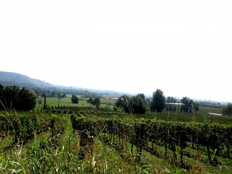 Franciacorta !!!!!!!!!!!!