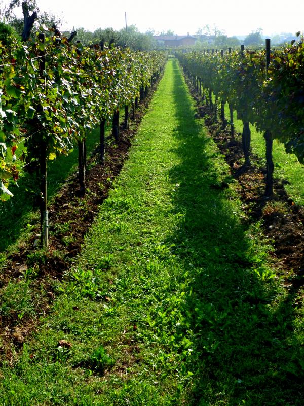 Franciacorta !!!!!!!!!!!!