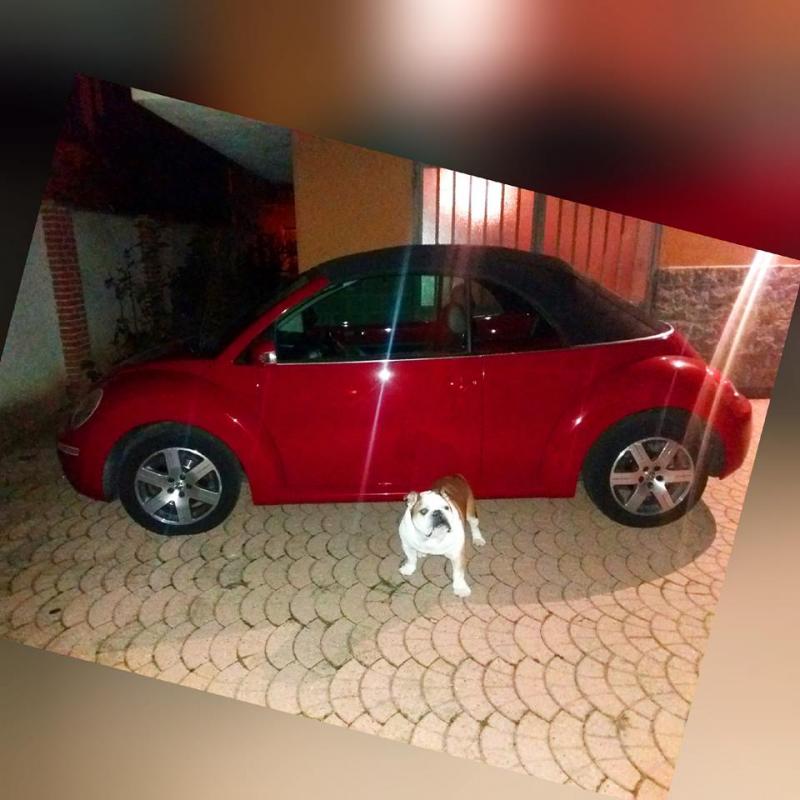 GABIBBONE I LOVE YOU