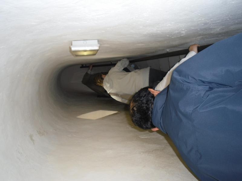 il 28? raduno nazionale delle New Beetle a Vigoleno !