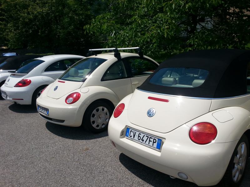 il mio 1? Raduno New Beetle