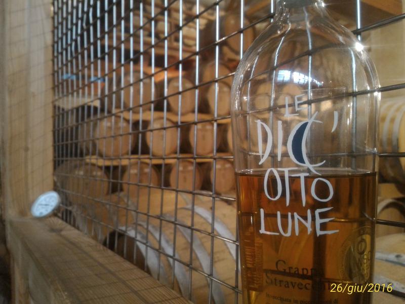 Il nostro quinto raduno!!!