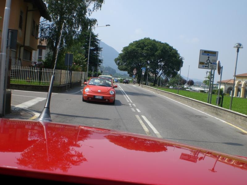 Il serpentone colorato.