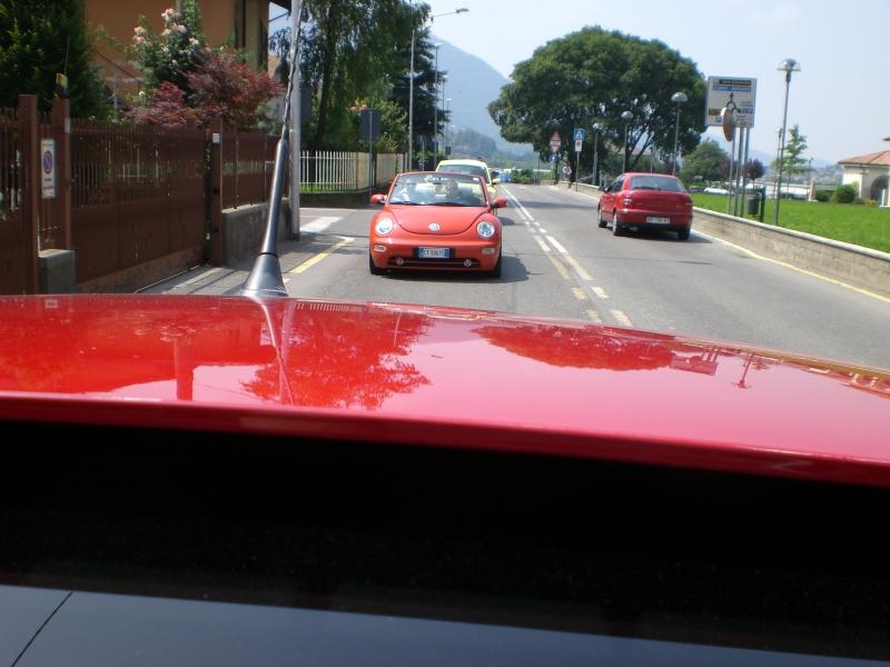 Il serpentone colorato.