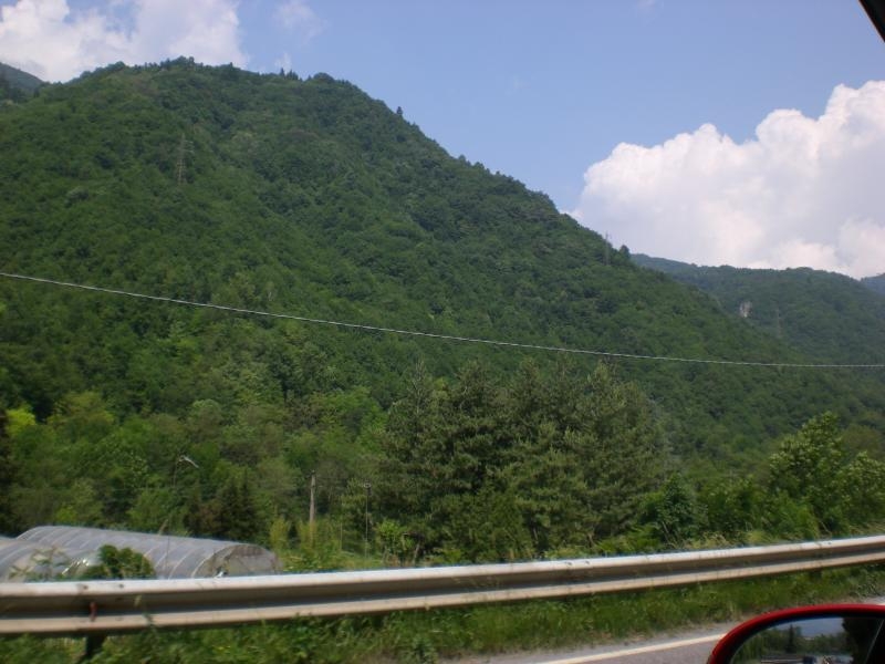 Il serpentone colorato.