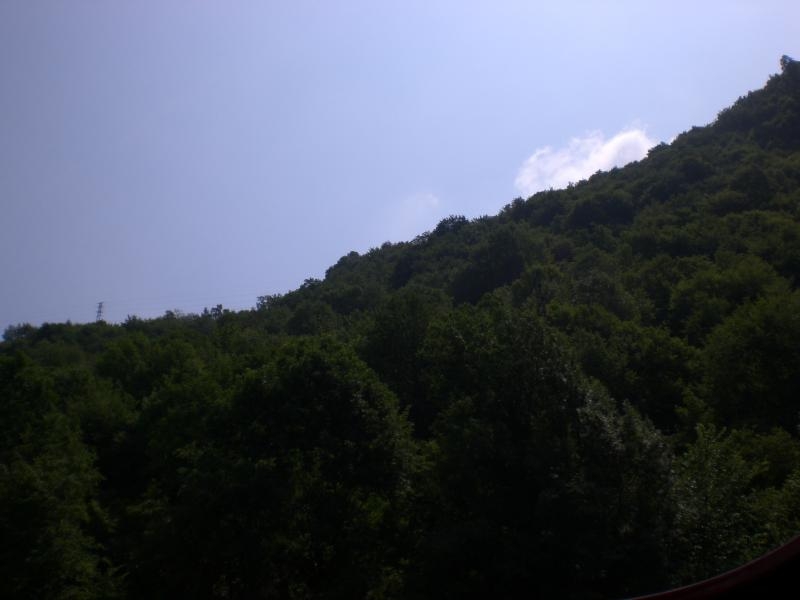 Il serpentone colorato.