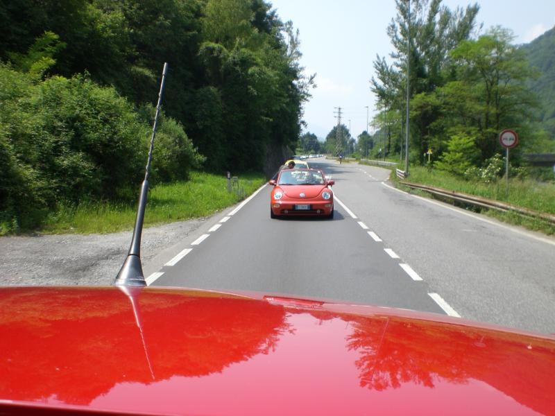 Il serpentone colorato.