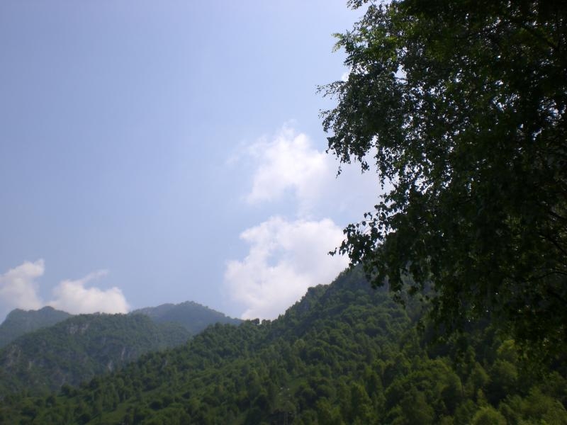 Il serpentone colorato.