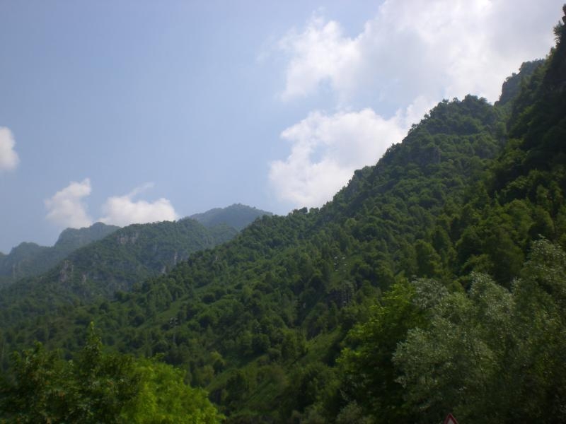 Il serpentone colorato.