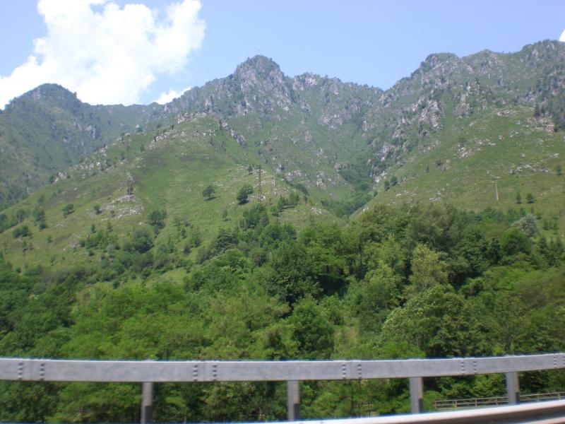 Il serpentone colorato.