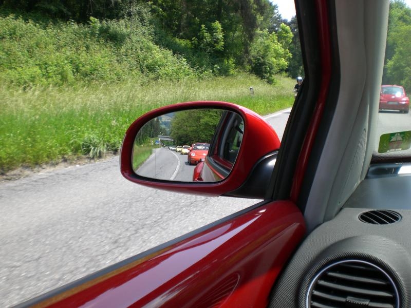 Il serpentone colorato.